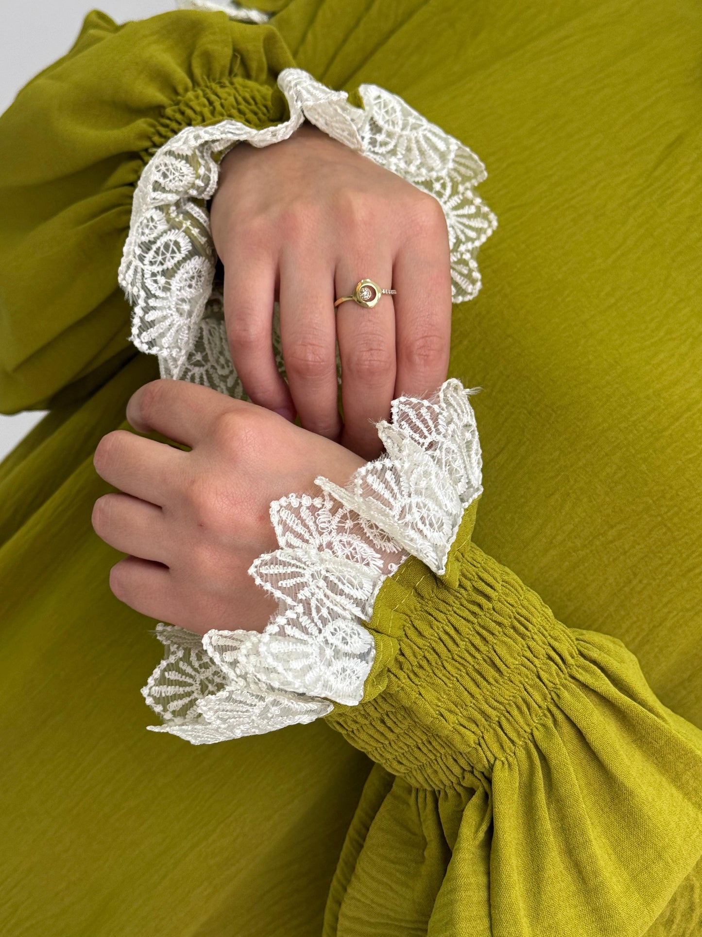 Elegant Guipure Embroidered Dress