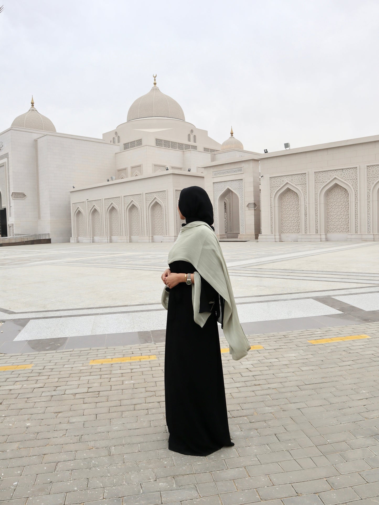 Elegant Open Abaya with Organza Shawl