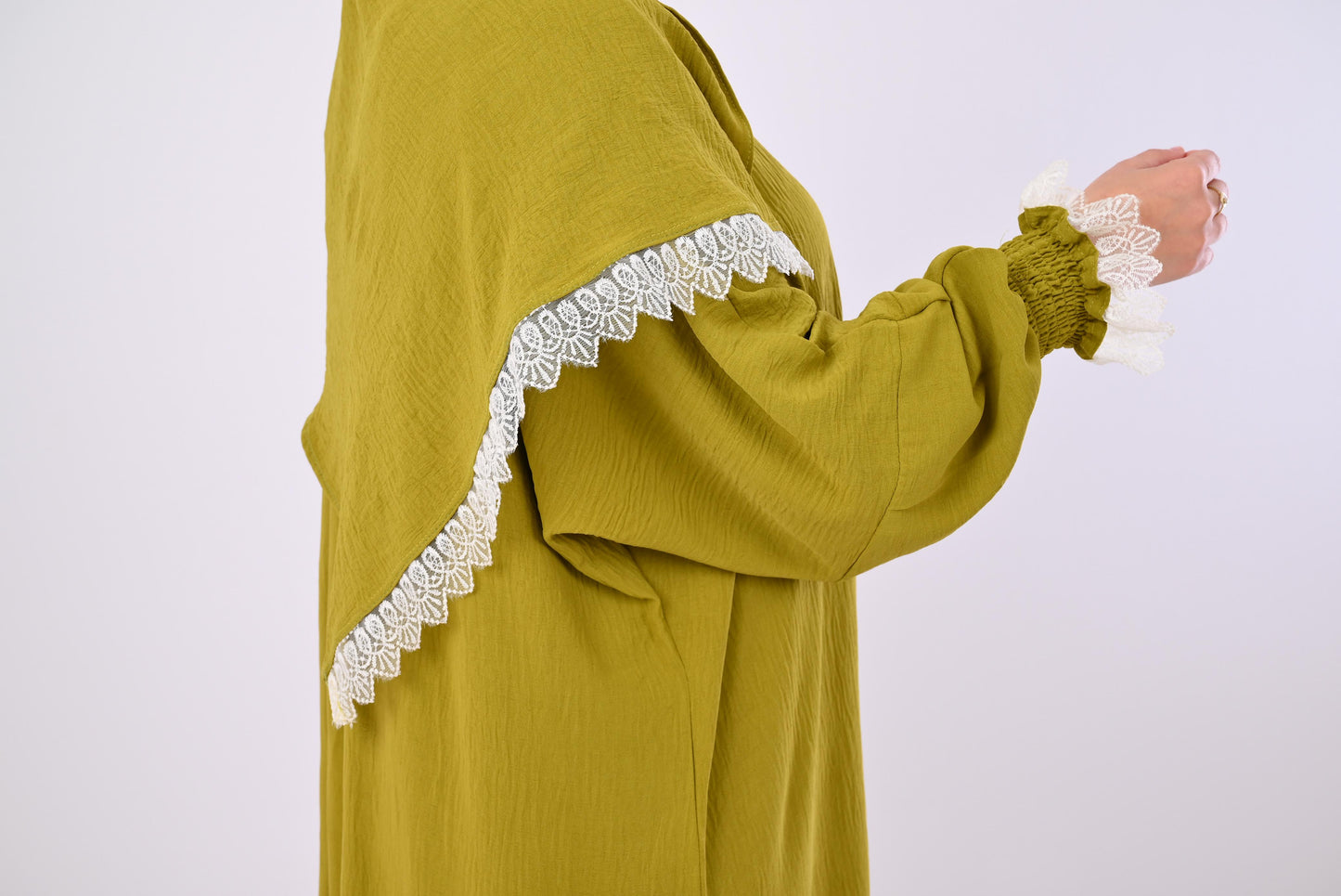 Elegant Guipure Embroidered Dress