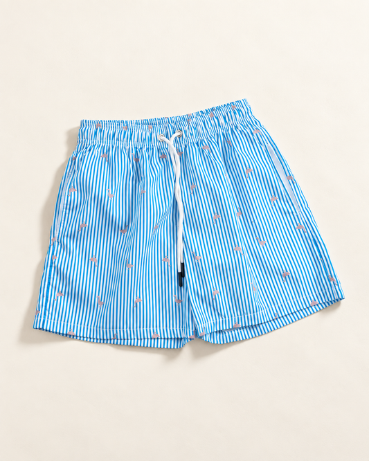 Men's Swim Shorts
